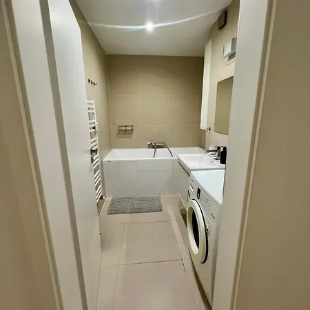 Luxury Apartment